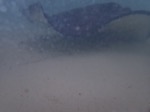 resIMG_20180630_135712_P6300630.JPG